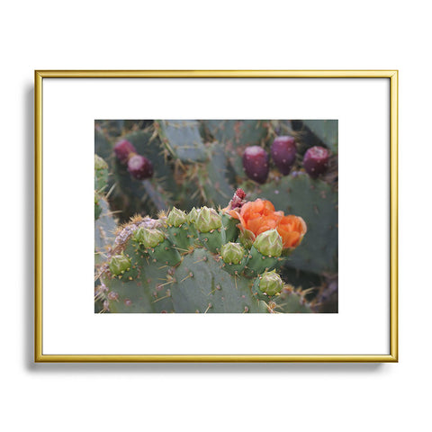 Lisa Argyropoulos Budding Prickly Pear Metal Framed Art Print