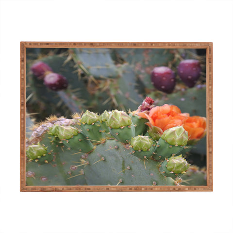 Lisa Argyropoulos Budding Prickly Pear Rectangular Tray