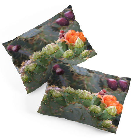 Lisa Argyropoulos Budding Prickly Pear Pillow Shams