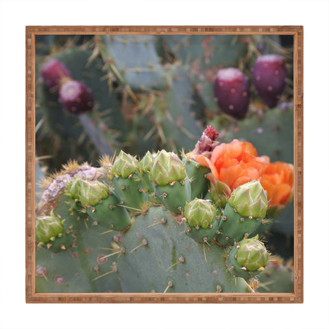 Lisa Argyropoulos Budding Prickly Pear Square Tray