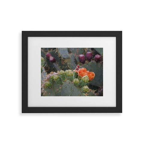 Lisa Argyropoulos Budding Prickly Pear Framed Art Print