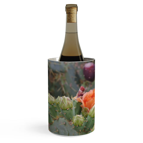 Lisa Argyropoulos Budding Prickly Pear Wine Chiller
