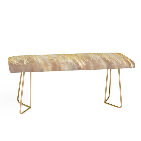Lisa Argyropoulos Bungalow Bench