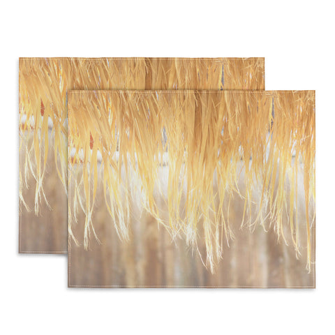 Lisa Argyropoulos Bungalow Placemat