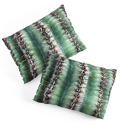 Lisa Argyropoulos Cactus Abstractus Pillow Shams