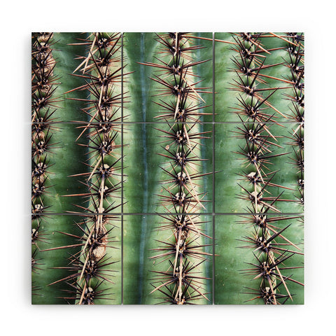 Lisa Argyropoulos Cactus Abstractus Wood Wall Mural