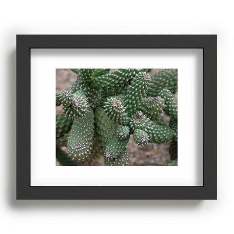 Lisa Argyropoulos Cactus Fantastic Recessed Framing Rectangle