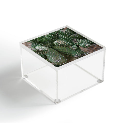 Lisa Argyropoulos Cactus Fantastic Acrylic Box