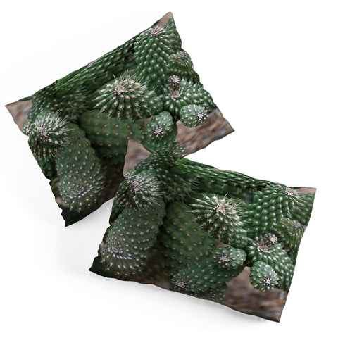 Lisa Argyropoulos Cactus Fantastic Pillow Shams