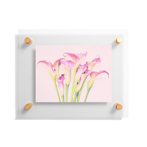 Lisa Argyropoulos Callas Floating Acrylic Print