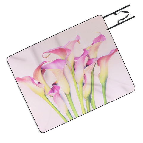 Lisa Argyropoulos Callas Picnic Blanket