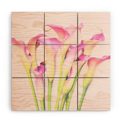 Lisa Argyropoulos Callas Wood Wall Mural