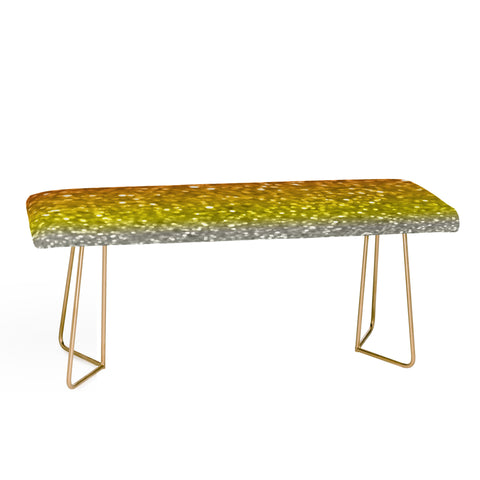 Lisa Argyropoulos Candy Corn Bokeh Bench