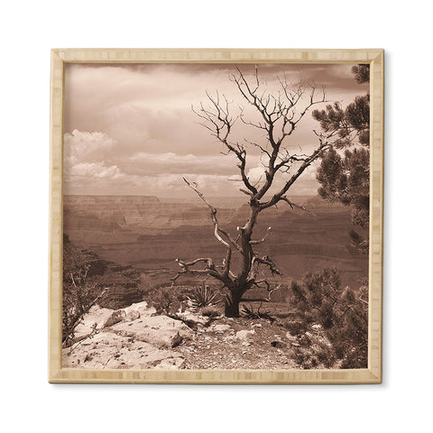 Lisa Argyropoulos Canyon Ghost Warm Sepia Framed Wall Art