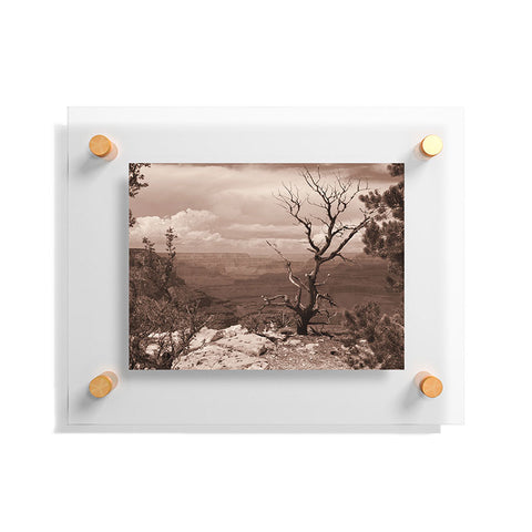 Lisa Argyropoulos Canyon Ghost Warm Sepia Floating Acrylic Print