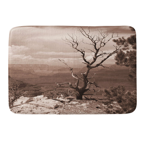 Lisa Argyropoulos Canyon Ghost Warm Sepia Memory Foam Bath Mat