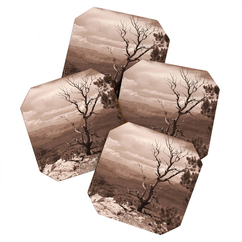 Lisa Argyropoulos Canyon Ghost Warm Sepia Coaster Set