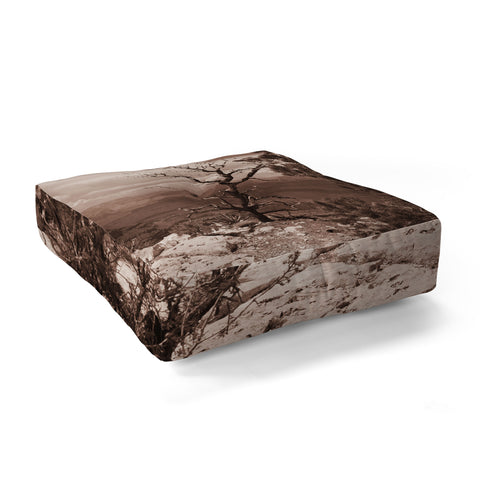 Lisa Argyropoulos Canyon Ghost Warm Sepia Floor Pillow Square