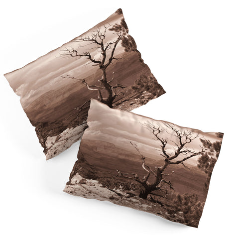 Lisa Argyropoulos Canyon Ghost Warm Sepia Pillow Shams