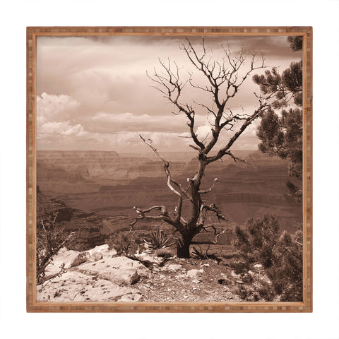 Lisa Argyropoulos Canyon Ghost Warm Sepia Square Tray