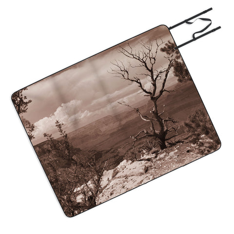 Lisa Argyropoulos Canyon Ghost Warm Sepia Picnic Blanket