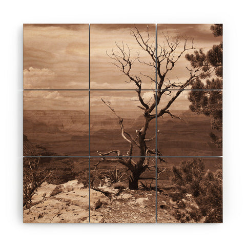 Lisa Argyropoulos Canyon Ghost Warm Sepia Wood Wall Mural