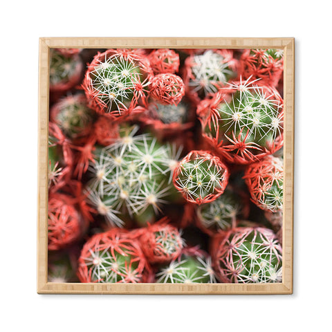 Lisa Argyropoulos Desert Planets Framed Wall Art