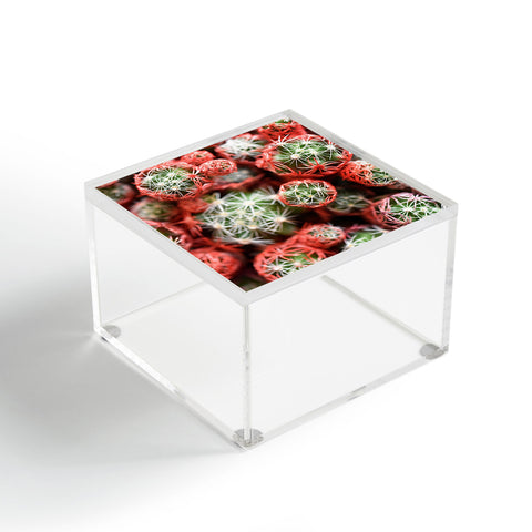 Lisa Argyropoulos Desert Planets Acrylic Box