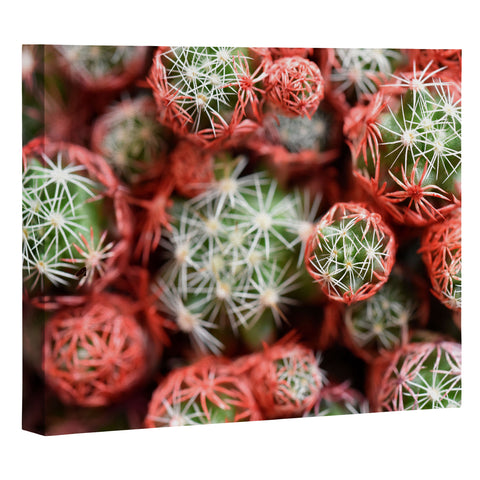 Lisa Argyropoulos Desert Planets Art Canvas