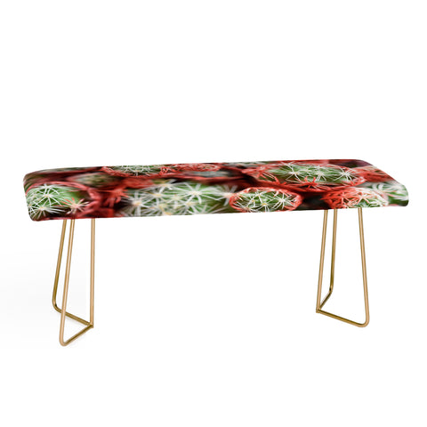 Lisa Argyropoulos Desert Planets Bench