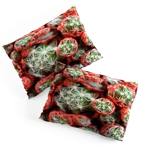 Lisa Argyropoulos Desert Planets Pillow Shams