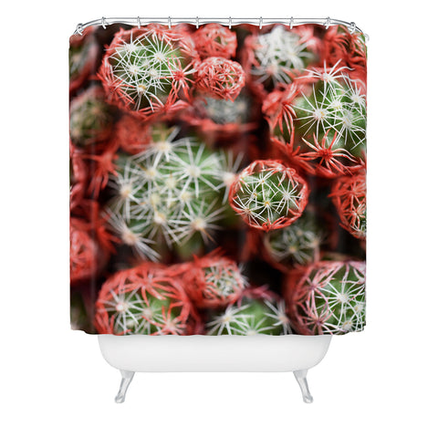 Lisa Argyropoulos Desert Planets Shower Curtain