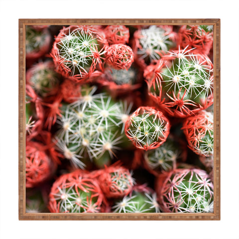 Lisa Argyropoulos Desert Planets Square Tray