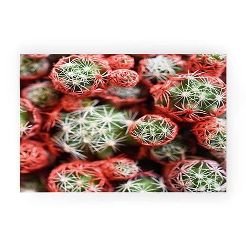 Lisa Argyropoulos Desert Planets Welcome Mat