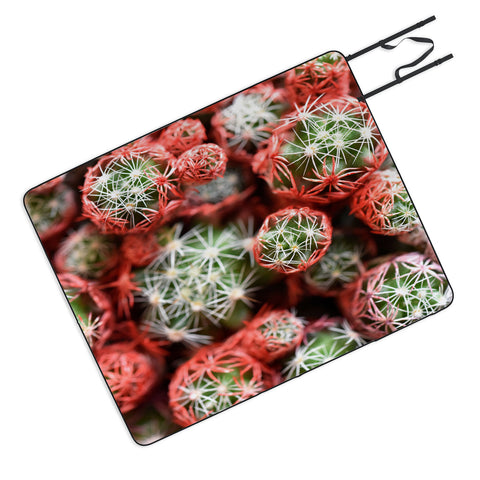 Lisa Argyropoulos Desert Planets Picnic Blanket