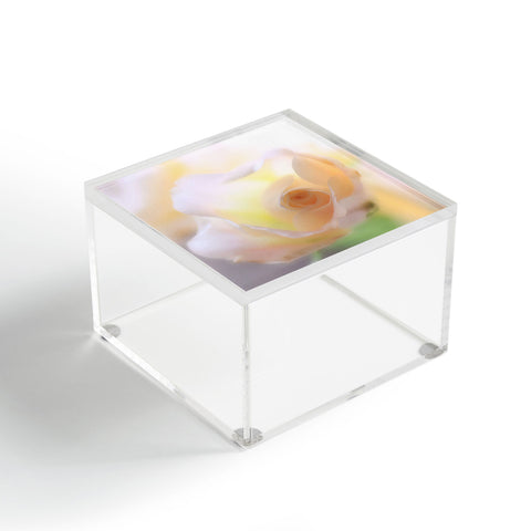 Lisa Argyropoulos Dreams Acrylic Box