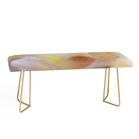 Lisa Argyropoulos Dreams Bench