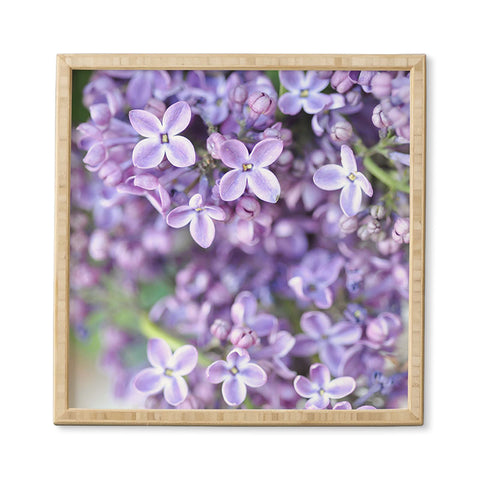 Lisa Argyropoulos Dreamy Lilacs Framed Wall Art