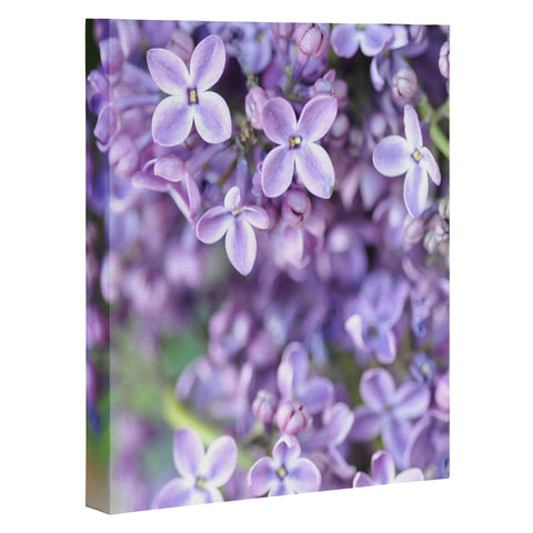 Lisa Argyropoulos Dreamy Lilacs Art Canvas