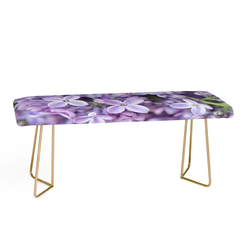 Lisa Argyropoulos Dreamy Lilacs Bench