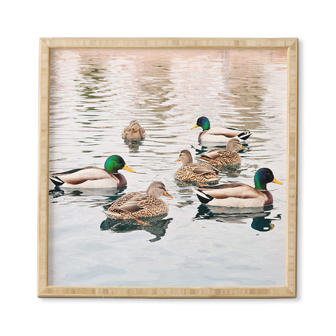 Lisa Argyropoulos Ducks Framed Wall Art