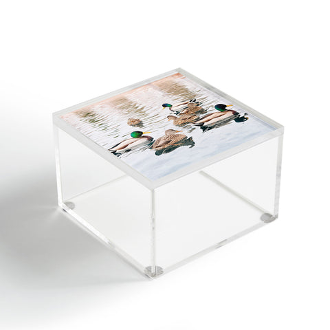 Lisa Argyropoulos Ducks Acrylic Box