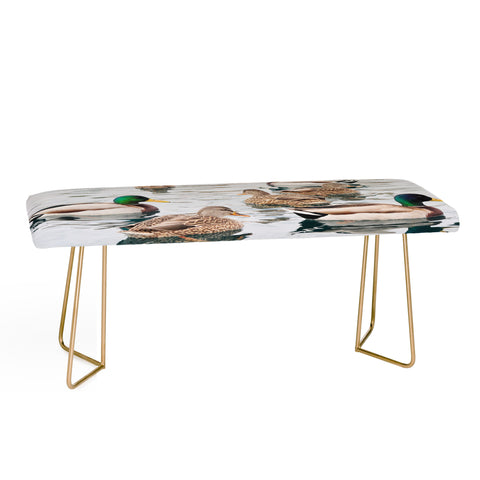 Lisa Argyropoulos Ducks Bench