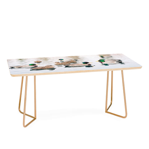 Lisa Argyropoulos Ducks Coffee Table