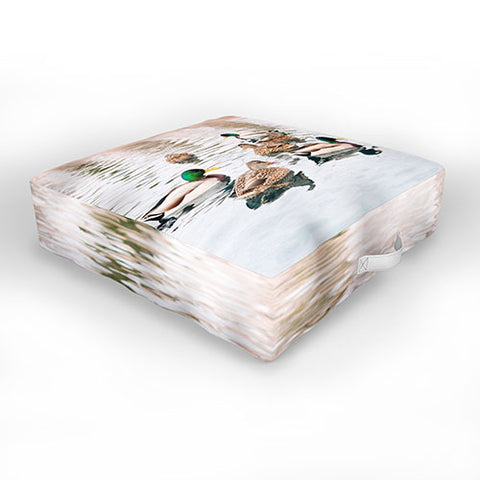 Lisa Argyropoulos Ducks Outdoor Floor Cushion