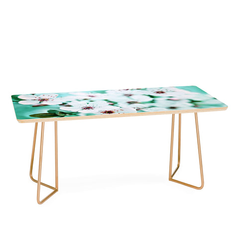 Lisa Argyropoulos Echo Coffee Table