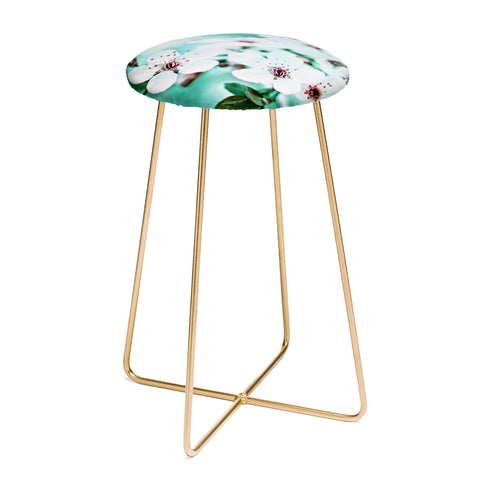 Lisa Argyropoulos Echo Counter Stool