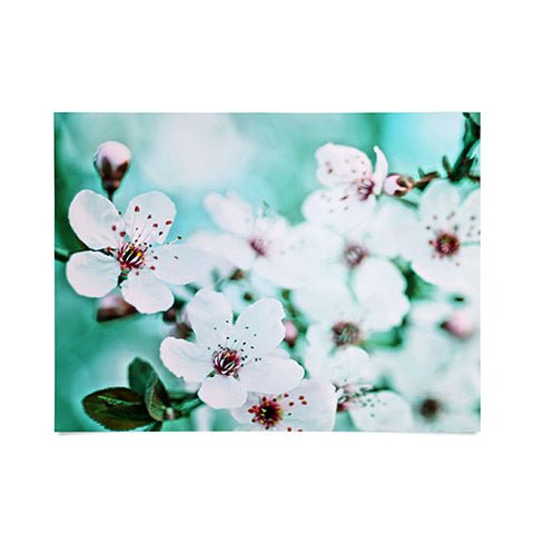 Lisa Argyropoulos Echo Poster