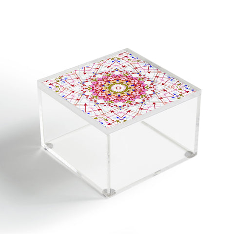 Lisa Argyropoulos Every Which Way Acrylic Box