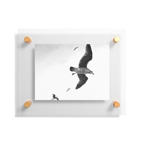 Lisa Argyropoulos Flight of Fancy Monochrome Floating Acrylic Print